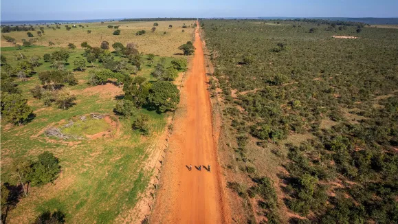 Players enxergam oportunidade estratégica na recuperação de “terras degradadas”